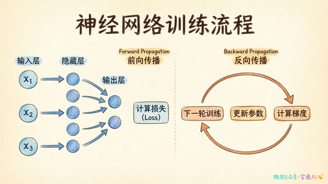 训练过程流程图,左半部分是前向传播(输入→隐藏层→输出→计算损失),右半部分是反向传播(损失→反向计算梯度→更新参数→循环)