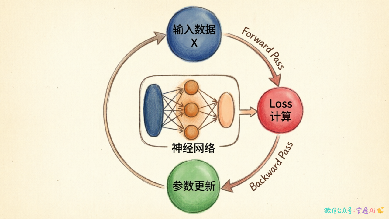 神经网络完整训练循环图，展示前向传播→损失计算→反向传播→参数更新的闭环流程