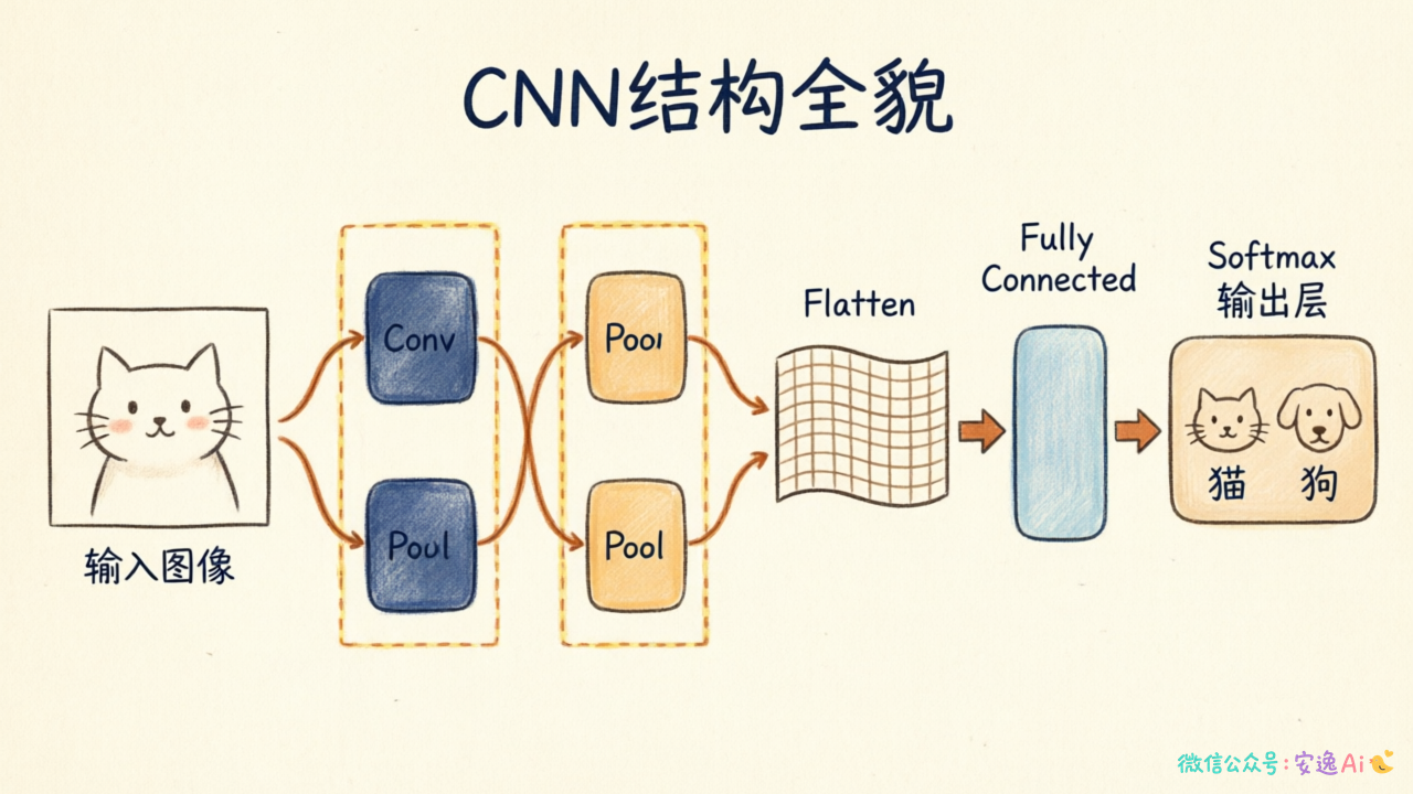 CNN结构全貌图,展示输入层、多层卷积池化结构、以及最后全连接层和输出层