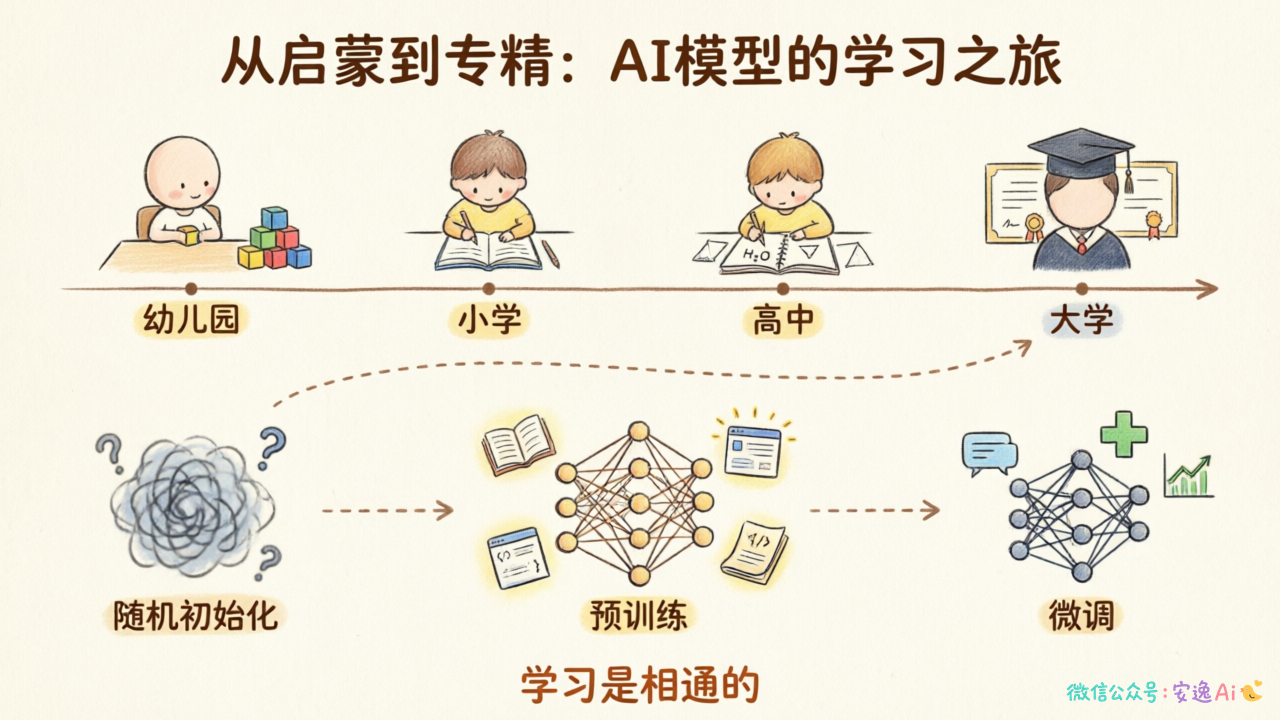 展示从幼儿园到高中再到大学的学习阶段,对应模型从随机初始化到预训练再到微调的成长路径