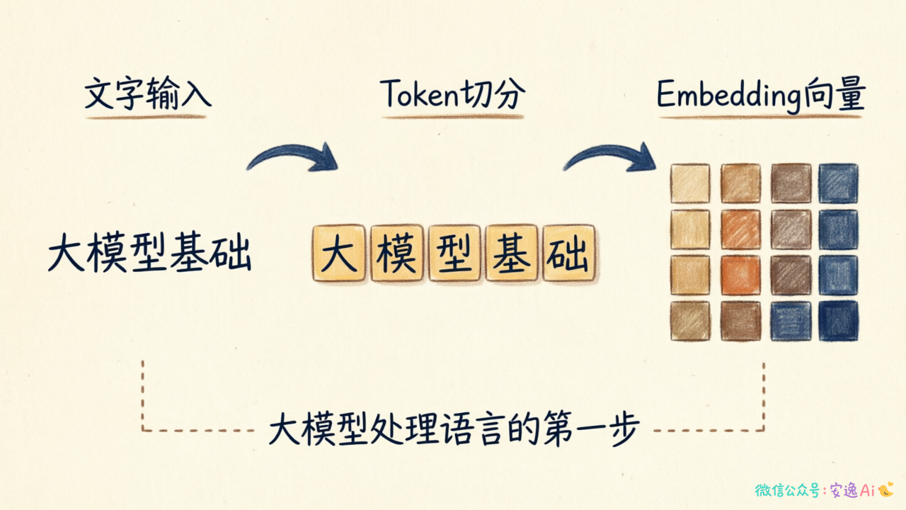 Token切分与Embedding转换的完整流程,展示文字→数字→向量的过程