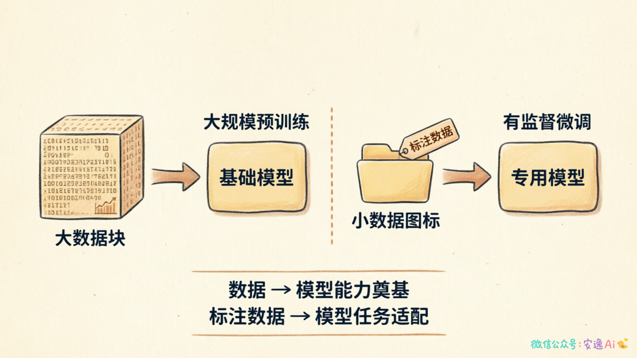 预训练和微调两阶段流程图,左边是大规模数据训练产生基础模型,右边是有监督微调产出专用模型