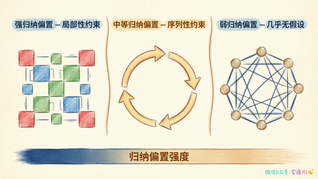 CNN 局部感知假设、RNN 序列假设、Transformer 几乎无假设的归纳偏置强弱对比